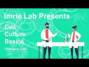 Cell Culture Basics: Passaging cells
