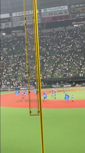 【ベルーナドーム】停電のためアカペラ大合唱 2025 8.27 #地平を駈ける獅子を見た #seibulions #プロ野球 #西武ライオンズ #野球 #ライナ #レオ #ベルーナドーム