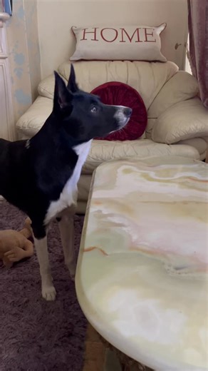 Barney reacting to the start of ET with his own toy Et #ettheextraterestial #react #reaction | Stephen Kelleher