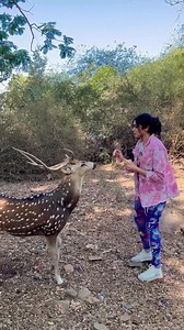 97K views · 6.2K reactions | Hi deer ❤️歷 | Adah Sharma S | Facebook