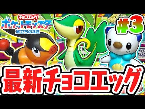 Complete collection of the three starter Pokémon from Pokémon Black and White!! Will my secret Po...