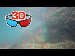 [3D video Anaglyph] Underwater shooting / for red-cyan anaglyph glasses