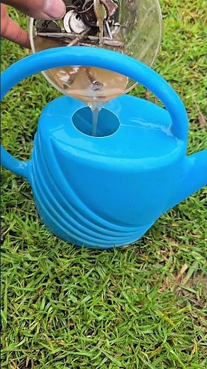 Homemade fertilizer with rusty nails: soluble iron for your plants 🌿🔩 #garden #plants #agriculture