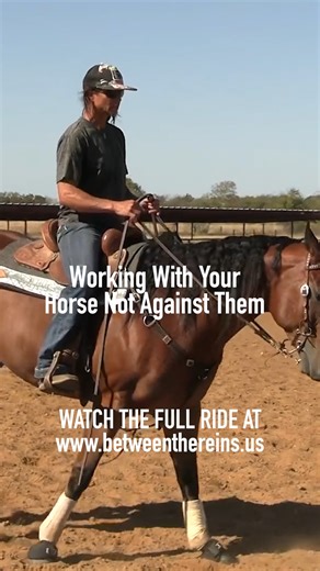 As barrel racers, it’s important that we work with our horses, not against them, even the ones that challenge us the most. Success comes from learning how to work with our horses at home and at the barrel race, while still maintaining correctness and confidence. Watch it now at www.betweenthereins.us! | Between The Reins