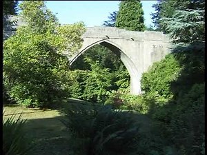 The Old Button box - Robert lovie