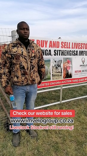 Livestock Stockvel Still Running! Check our Website for Sales