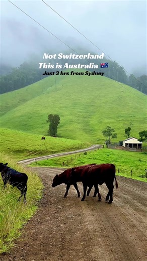 Discover the Hidden Beauty of Gloucester Tops, Australia