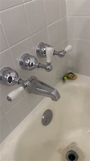 Jobs with Mack: Dripping Shower Valve Shut Off