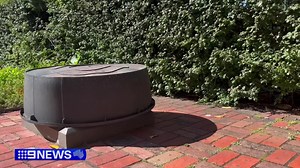 Vandals have attacked the Captain Cook statue in Fitzroy Gardens, sawing the bronze monument off at the ankles. They filmed themselves in the act, which has drawn a combination of anger and applause. #9News | 9 News Melbourne
