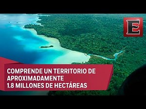 Punto y coma: La Selva Lacandona la pelicula