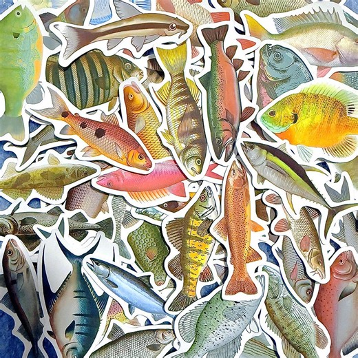 50pcs Vintage Fish Stickers Pack Ocean Marine Animal Waterproof Decals for Laptop Water Bottle Journal Scrapbook Fishing Gift - Etsy