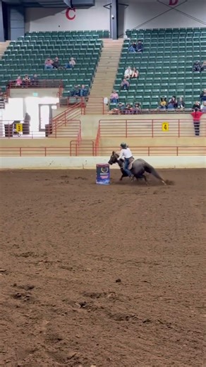 Fame had an ok run today #suitefameofmine