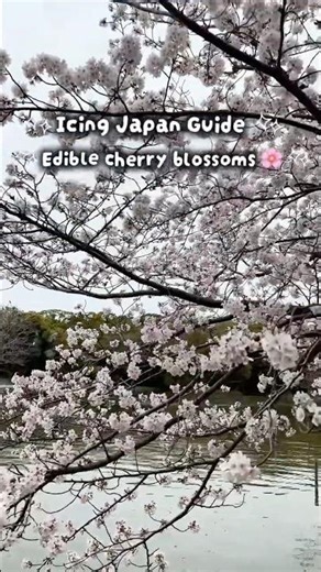 Edible Cherry Blossoms 🌸 Stunning Icing Art #shorts