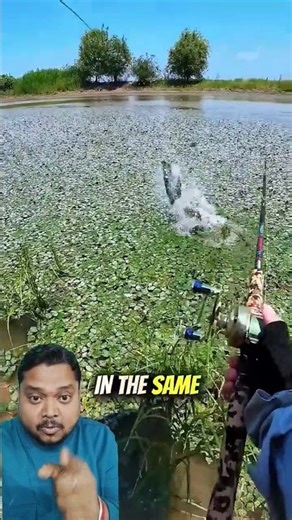 #FishingTrick #SmartWork #LifeLessons #BigCatch #FishingLife #PatiencePaysOff #SuccessTips #friends