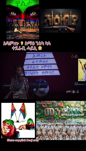 ኤርትራዊያን ብ ኤርትራ: እቲ ጥሩ ተምሃረ ነፍስ