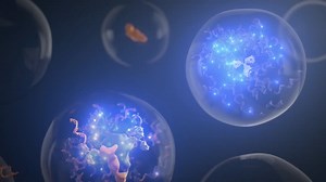 QIAcuity dPCR—— PICO