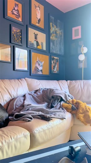 Intruders beware: she might open one eye. #SleepyGuardDog #MollyOnDuty #CozyProtector #DogTok #PetHumor #LazyDayVibes #DogLife #ComfyCanine #BlanketBurrito #HouseProtector | Daily Dane Drama