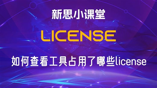 【新思小课堂】【License】如何查看License的使用情况