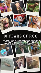 We’ve loved hearing how much you’re enjoying “meeting” Roo through these look backs. 🧡 We all know he was special enough to inspire the creation of our Live Like Roo Foundation, but seeing that magic firsthand is something else entirely. August 14, 2015: Ten years later, your love keeps his spirit alive, and we know he’d be so proud of all the good done in his name. Today’s memory? A little ice cream (of course 😜) and hanging in the man cave with the boys! Which included eating directly from a