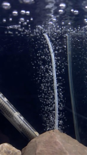 How to control air flow of an air stone or sponge filter