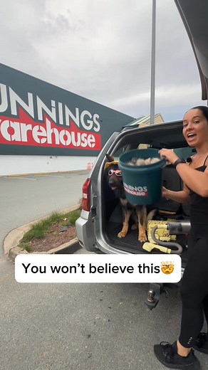 419K views · 24 reactions | 퐀퐮퐬퐭퐫퐚퐥퐢퐚'퐬 #ퟏ 퐒퐞퐥퐥퐢퐧퐠 퐆퐫퐨퐨퐦퐢퐧퐠 퐓퐨퐨퐥 퐢퐬 퐋퐄퐆퐈퐓! 퐑퐚퐠퐞 퐕퐚퐜퐮퐮퐦퐢퐧퐠 퐀퐠퐚퐢퐧!? Love your dog BUT... Hate the smell? ✔️ Groomi fixes it in 5 minutes ✔️ Enhances Skin & Coat health ✔️ Stops fur + dirt from taking over your house ✔️ 31,157+ Aussie dog owners swear by it  Try it risk-free: www.thegroomi.com | The Groomi | Facebook