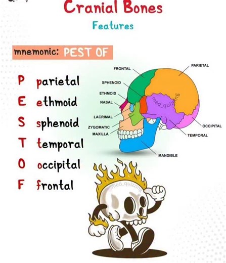 The Neet Ninja on Instagram: "Trick 📝☝️ . . . . . . . . . . . . . . #ntaneet #competitiveexams #pw #biology #neetbiology #allen #unacademy #explorepage #reelitfeelit❤️❤️ #trendingreels #youtubechannel #ssccgl #sscchsl #follow4like #fitness #followformorecontentlikethis❤️ #followformore❤️ #harharmahadev #jeeadvanced #jeemains #jewelry #physiotherapy #pw #physicswallah #plantkingdom #viralreelsvideo❤️ #popular"