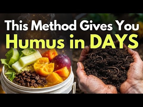 Compost Is Dead: This Indigenous Scraps Method Creates Humus INSTANTLY