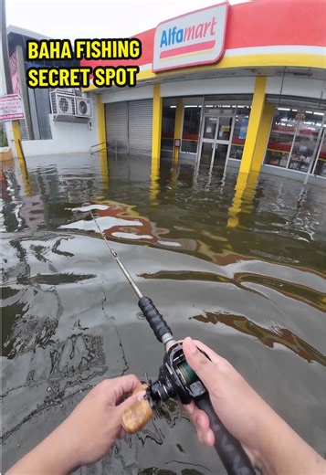 Toman fishing sa baha: paano maghanap ng secret spot