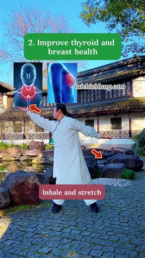 251279-Yi Jin JingPulling Nine Oxen by the Tail(backward)