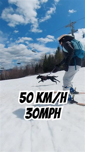We took our dog on a Black Diamond you wouldn’t believe what happened next