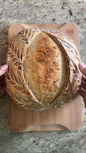 383K views · 5.6K reactions | 20% whole wheat flour and 80% bread flour. 75% hydration. #sourdoughbread #sourdoughbaking #sourdoughloaf #bakingsourdough #artisanbread | The Sourdough Lady | Facebook