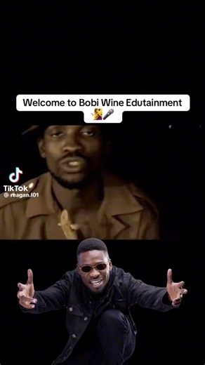 Timber wolves 🦭 (@nelson.nelson543)’s videos with original sound - Timber wolves 🦭