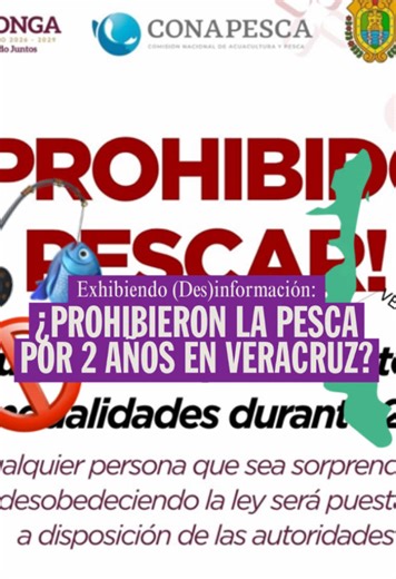 ¿PROHIBIERON LA PESCA POR 2 AÑOS EN VERACRUZ? 🎣🔍❌ El 19 de marzo se viralizó un comunicado del Ayuntamiento de Altotonga, Veracruz que decía que la pesca en el río Nautla-Bobos estaba prohibida por dos años. Te explico qué dijo la CONAPESCA al respecto y si tiene relación con el derrame de petróleo en el Golfo de México. Verificación completa. 🔍 👀 Créditos a @El Sabueso de Animal Político por obtener la aclaración oficial de la SADER y CONAPESCA. 🙌 #vercruz #petroleo #pesca #golfodemexico #