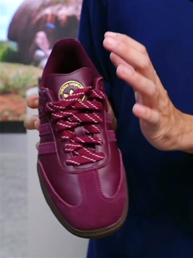 Adidas Samba Sumatra Promo Today - Samba Shoes Review