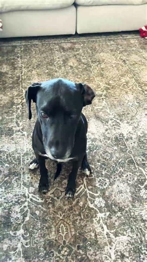 Try this if you depressed #dothingsyoudontwanttodo #funny #memes