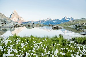 价值增益，源自1935 - SANITIZED AG – adding value since 1935