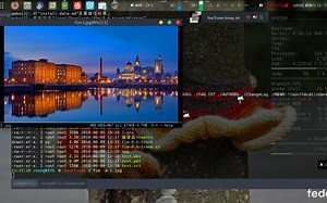 使用Linux打开文件的几种姿势-编译安装 fim