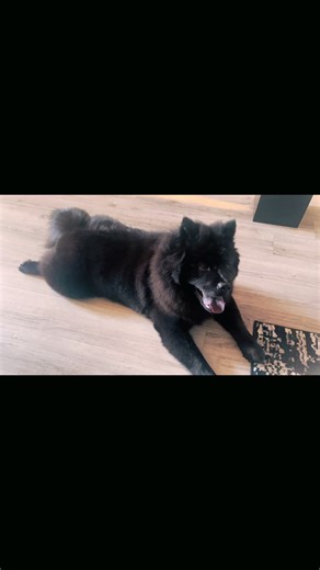 Jawel Jones (@jaweljones)’s videos with Hardest Pit - Big Pokey