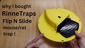 Watch Here's Why I Bought RinneTraps Flip N Slide Mouse Rat Trap ! on Amazon Live