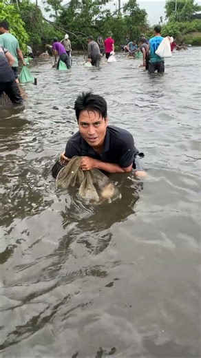 Nơm cá chép #fishing