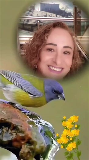 Os vídeos de Maria Bento Bocardi (@maria.bento.bocar) com som original - Maria Bento Bocardi