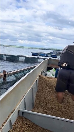 Floating Fish Farming