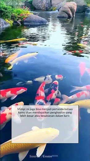 Arti Mimpi Mendapat Ikan Banyak