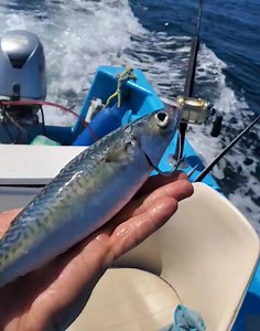 De pesca con Mendoza on Reels