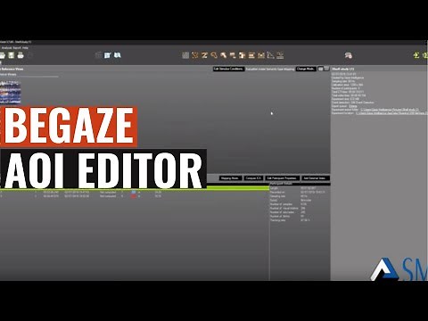 SMI Eye tracking : SMI Tutorial BeGaze AOI Editor