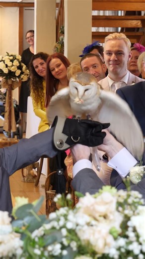 Owl delivers the wedding rings