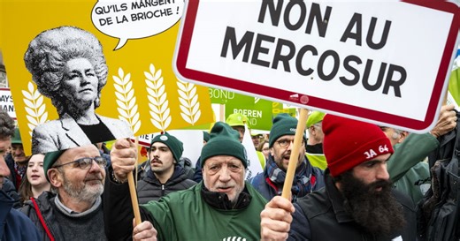 Agriculture. L'UE va appliquer le Mercosur de façon provisoire dès le 1er mai