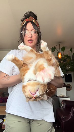 Dealing with Orange Cat Behavior: The Price of Fluff