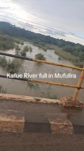 336K views · 3.4K reactions | The Kafue River in Mufulira is now full. Kwasha ukwisula ku kafue. Kafue Gauge has an a total installed capacity of 1800 Meggawats while Kariba has only 900. For every Meggawats generated, Kariba use water which is 4 times more than what kafue gauge uses. Hence more water in the kafue River, the more electricity to be generated. | Hon Heartson Mabeta | Facebook