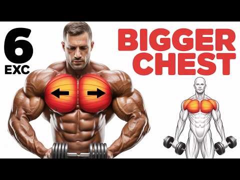 Pump Up Your Chest 6 Killer Exercises for Fast Gains!